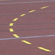 Sport Anlage Augst
