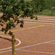 Sport Anlage Münchwilen